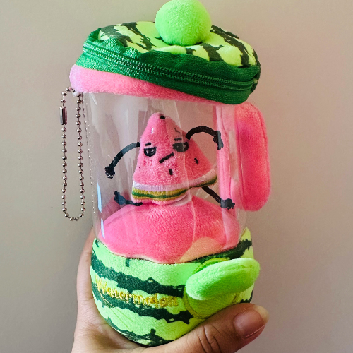 My Watermelon Mixie
